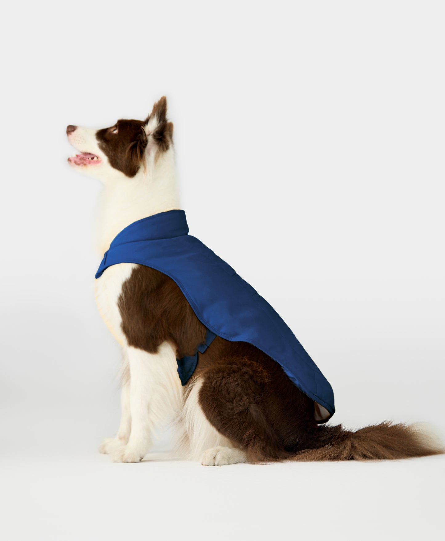 Koldpwoof Heated Dog Vest