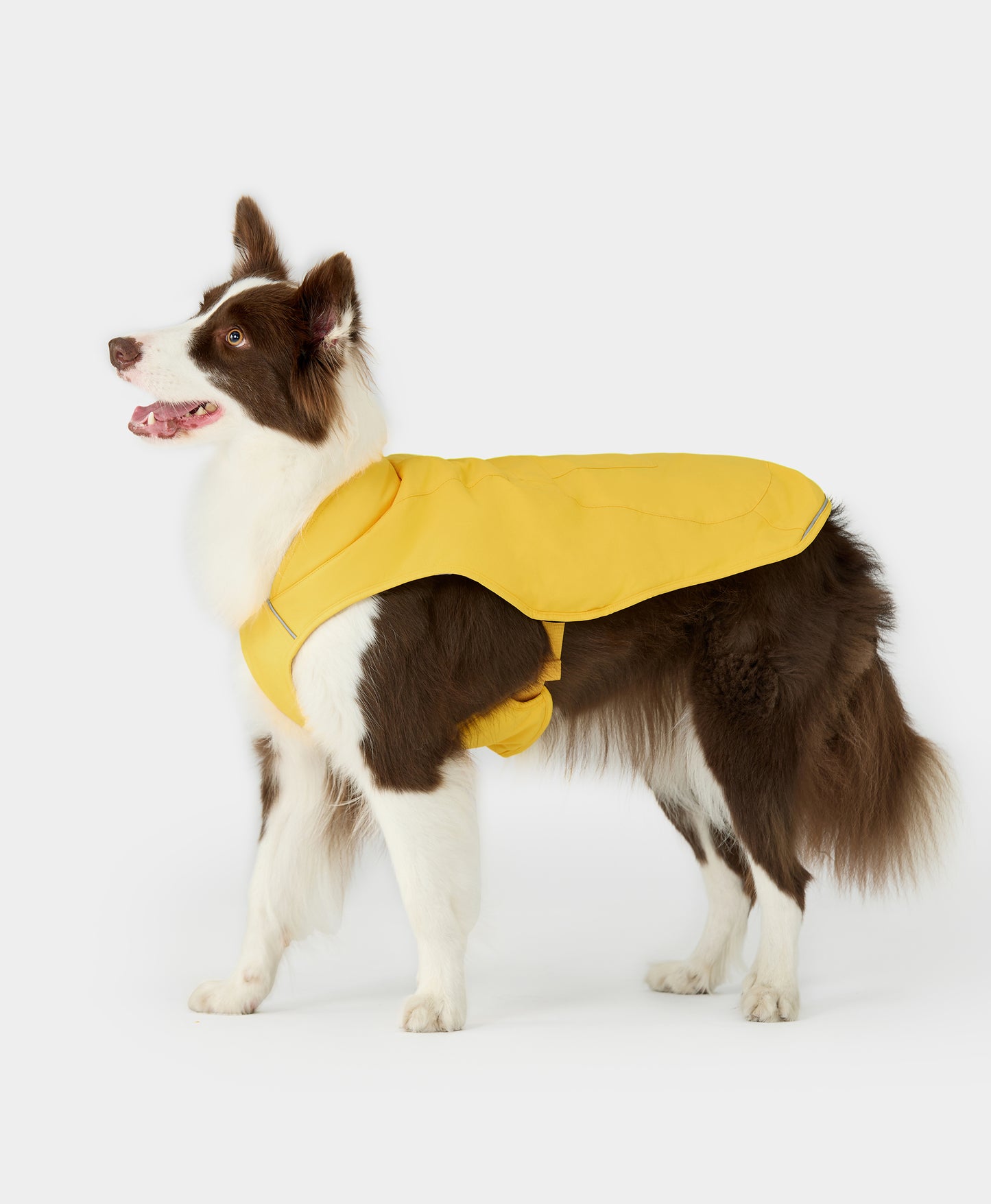 Koldpwoof Heated Dog Vest