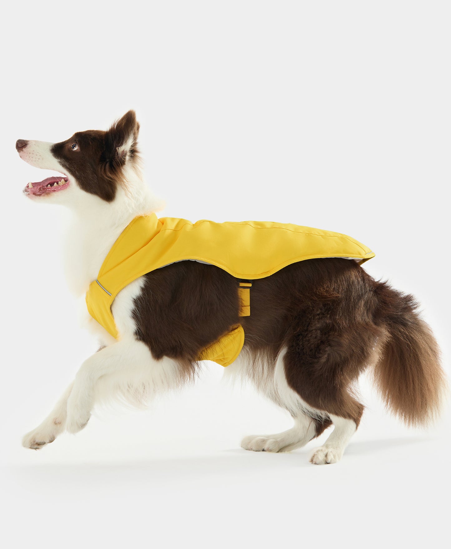 Koldpwoof Heated Dog Vest