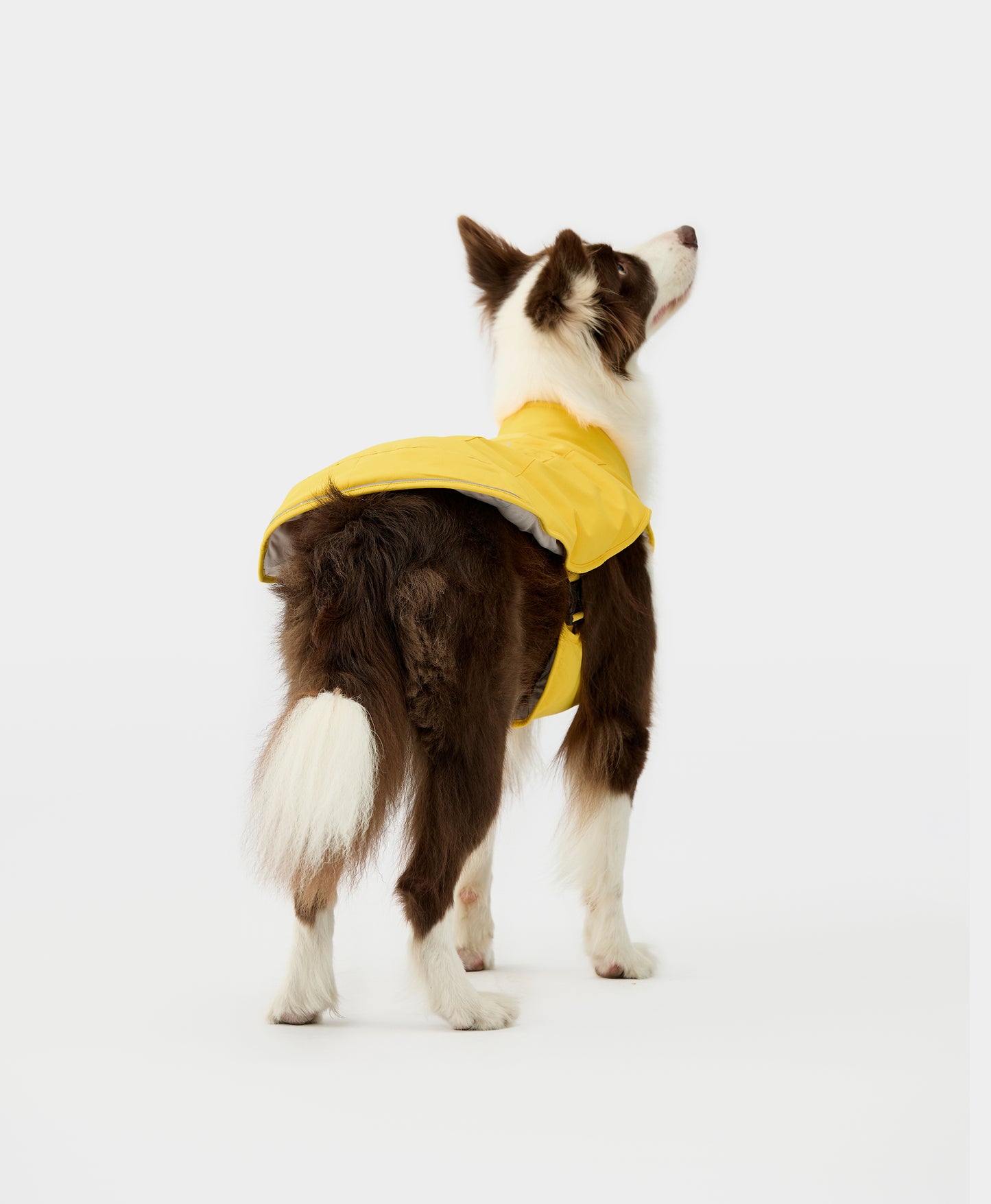 Koldpwoof Heated Dog Vest