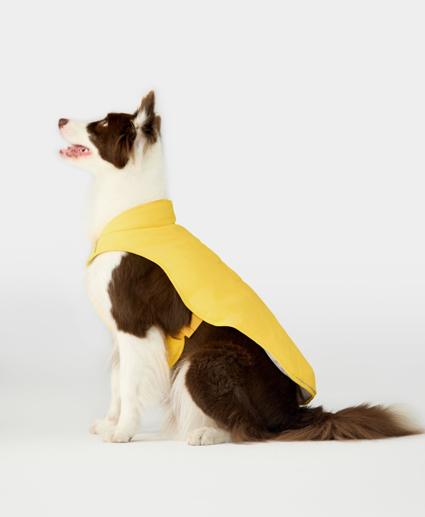 Koldpwoof Heated Dog Vest